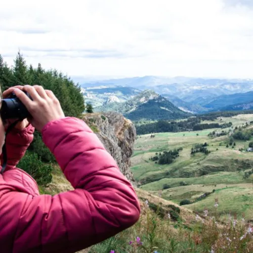 Auvergne