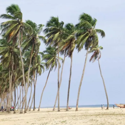 Bénin