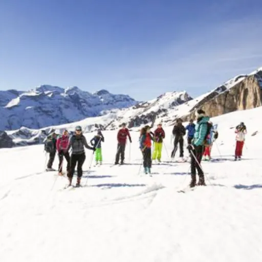 Top 5 des activités hiver originales à faire en famille