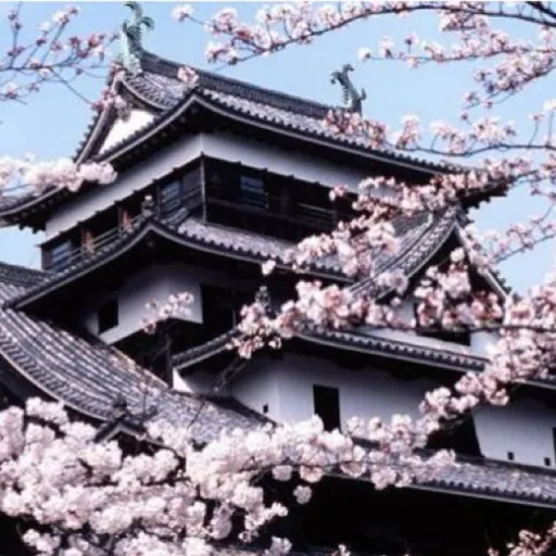 Voyage au Japon en famille : le guide complet !