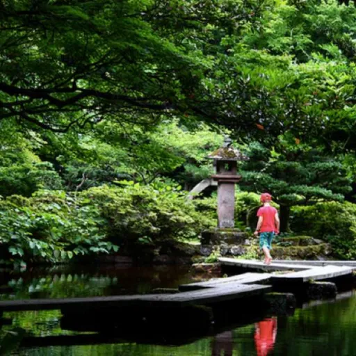 Les bons plans d’un papa pour visiter le Japon en famille