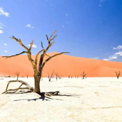 Namibie
