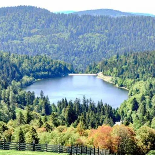 Vosges