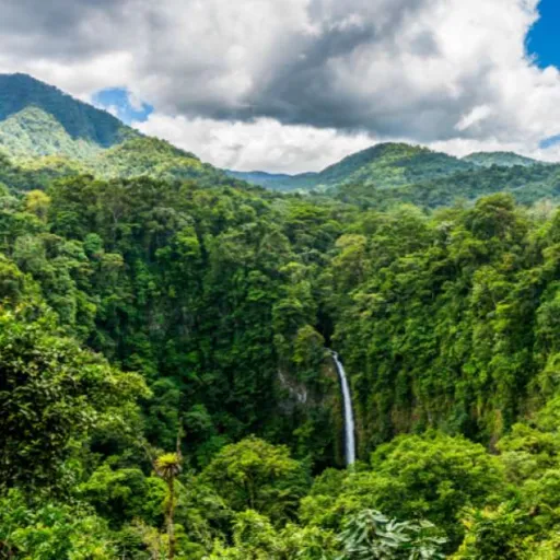 Costa Rica en famille : que faire, que voir ?