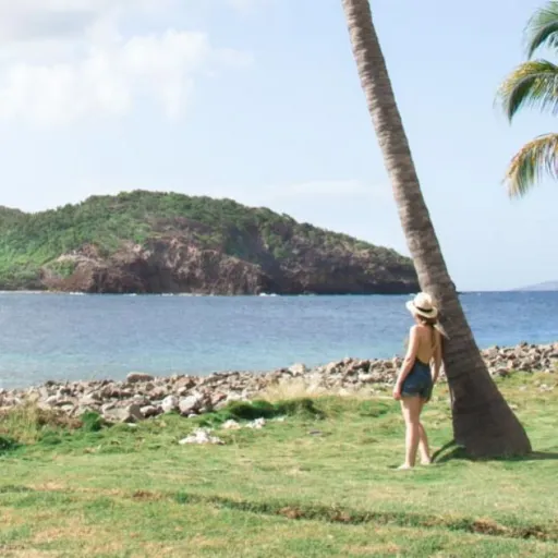 Basse-Terre