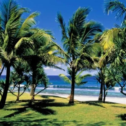 Martinique ou Guadeloupe : que choisir en famille ?
