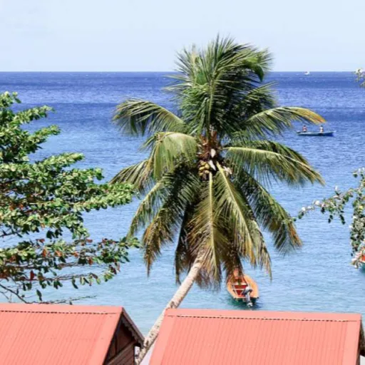 Martinique