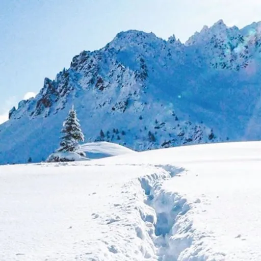 Assurance ski : votre Visa Premier peut-elle suffire ?