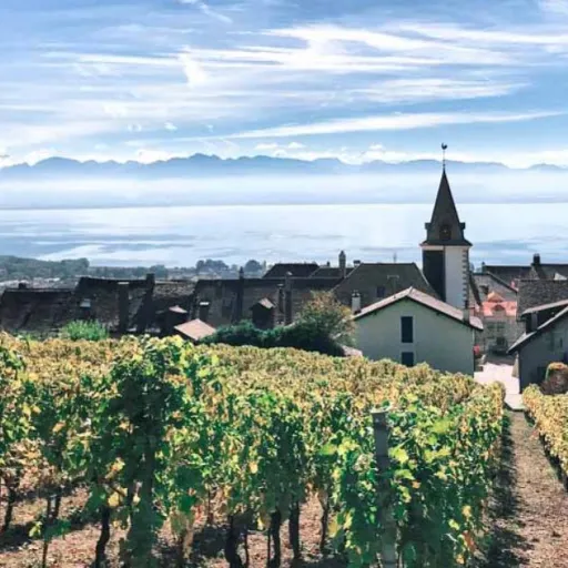 Lac Léman