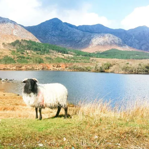 Irlande