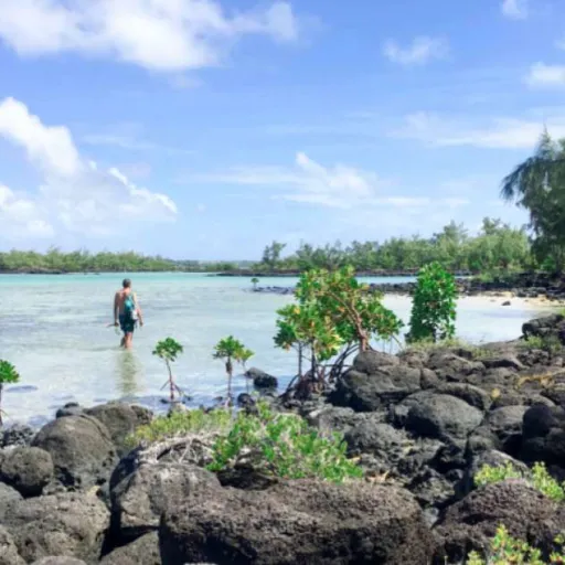Ile Maurice