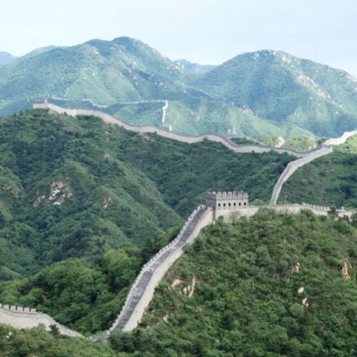Chine