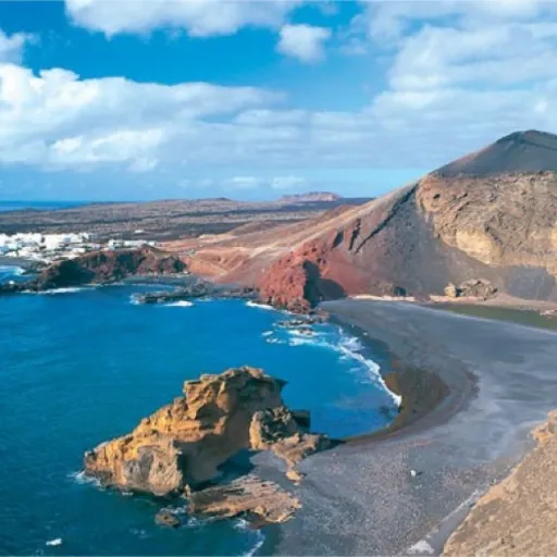 Canaries