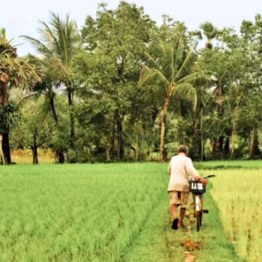Cambodge