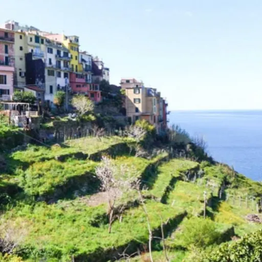 Cinque Terre