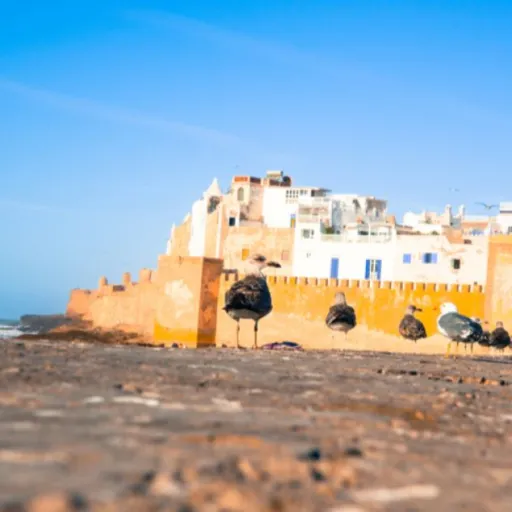 Côte marocaine