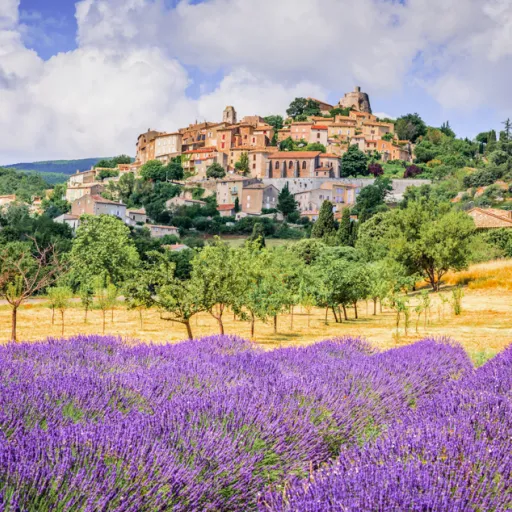 Luberon Lub’heureux : le gîte familial de rêve
