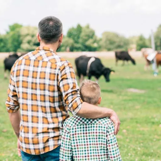 Vacances à la ferme en famille : nos tops adresses