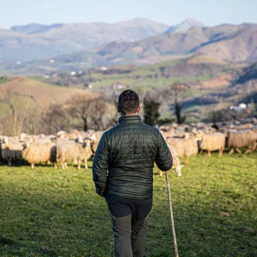 Week-end avec un berger producteur d’Ossau-Iraty