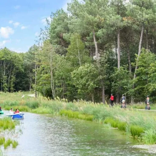 Top 5 des activités à tester cet été à Center Parcs