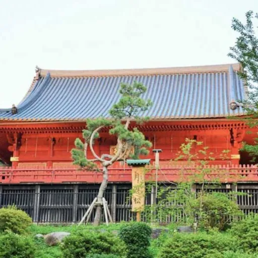 Japon