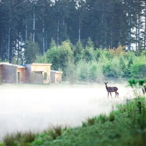 Quel Center Parcs choisir en famille ?