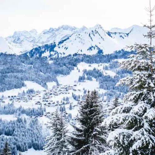 Les Gets : les locations de rêve en famille