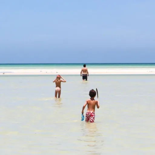 Top 10 des destinations plébiscitées par les parents