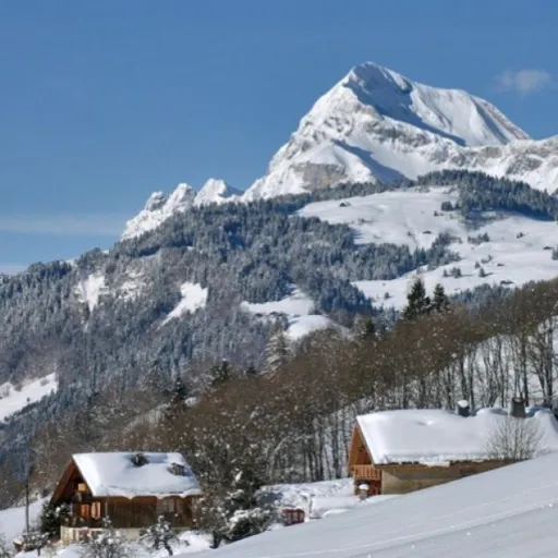 Top 10 des stations où partir au ski en famille