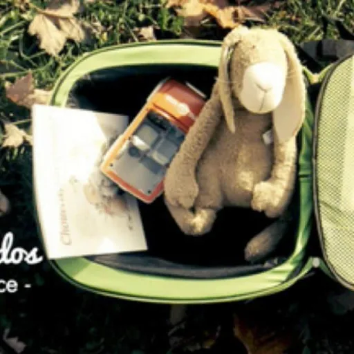 Le siège-auto qu’il vous faut en voyage avec enfant