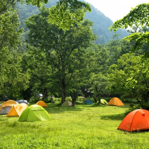 Baromètre Voyage Family : Budget vacances en famille : combien prévoir en 2026 ?