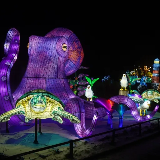 Interview de Valy Gourdon : Immanquable en Bretagne : Le festival des Animaux de Lumière !