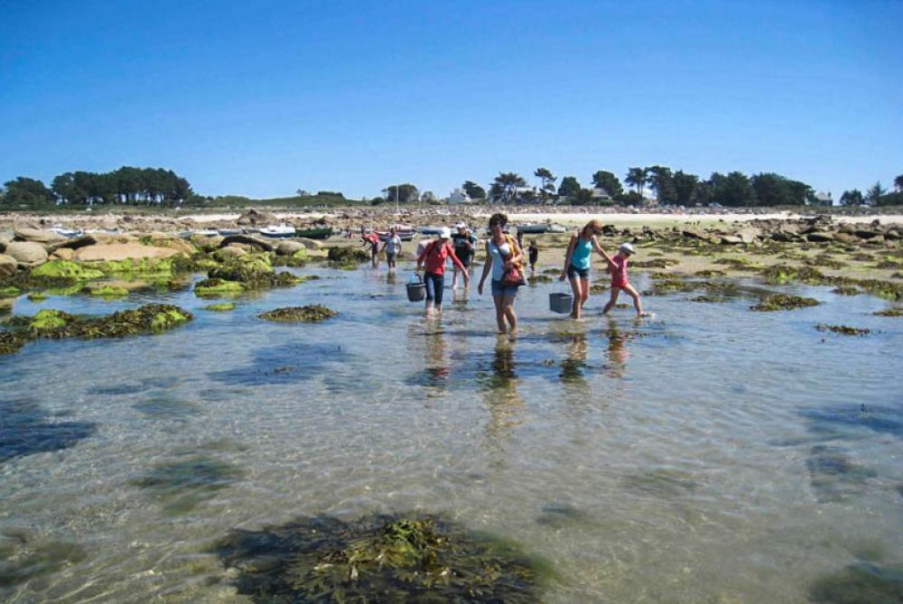 Que faire à Roscoff et en Baie de Morlaix ?