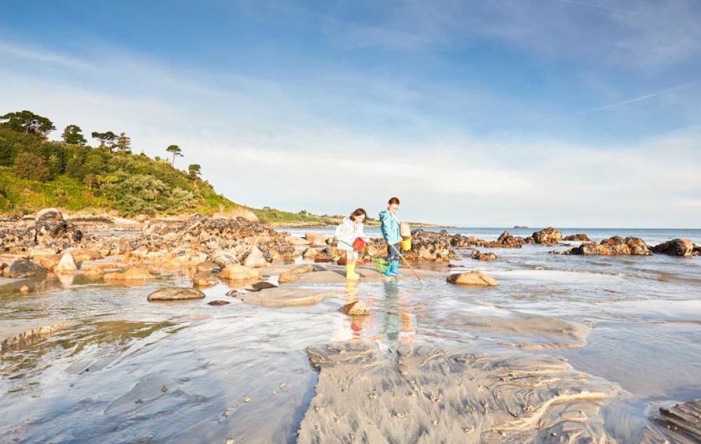 Que faire à Roscoff et en Baie de Morlaix ?