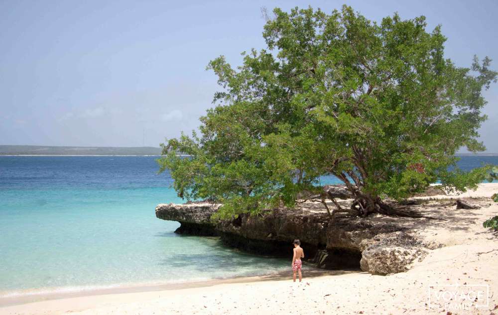 Cayo Saetia apr&egrave;s &eacute;tape &agrave; Baracoa Cuba