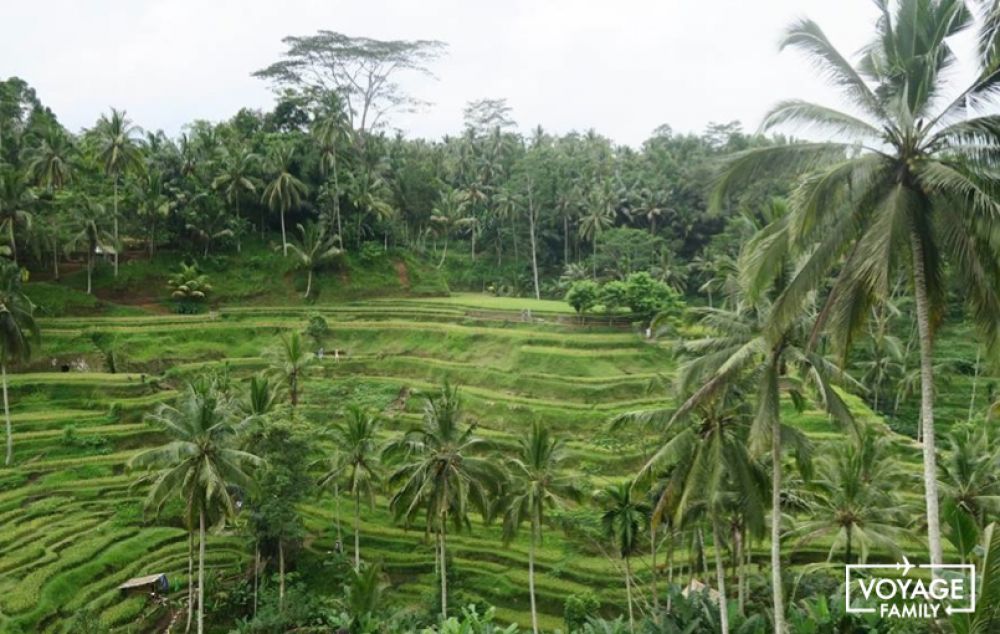 bali échange de maison