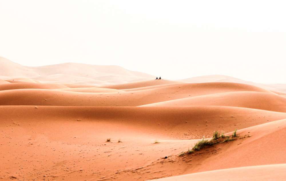 excursion marrakech