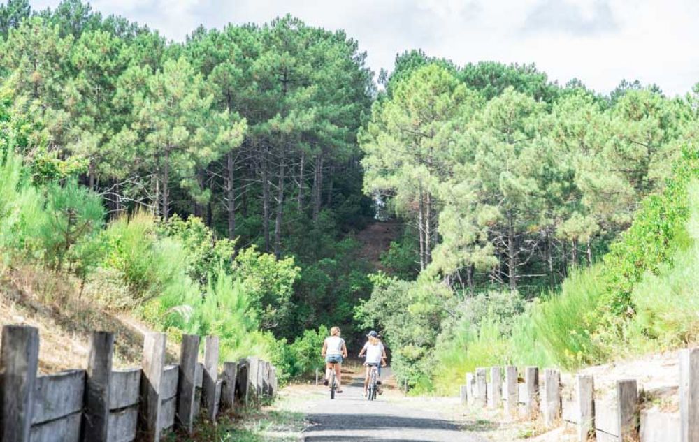 lacanau