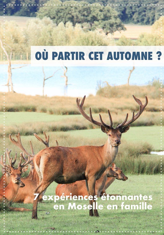 o&ugrave; partir en automne 