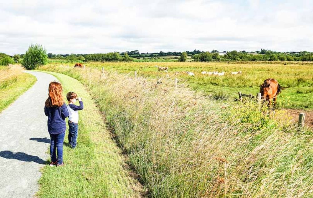 que faire dans la Manche