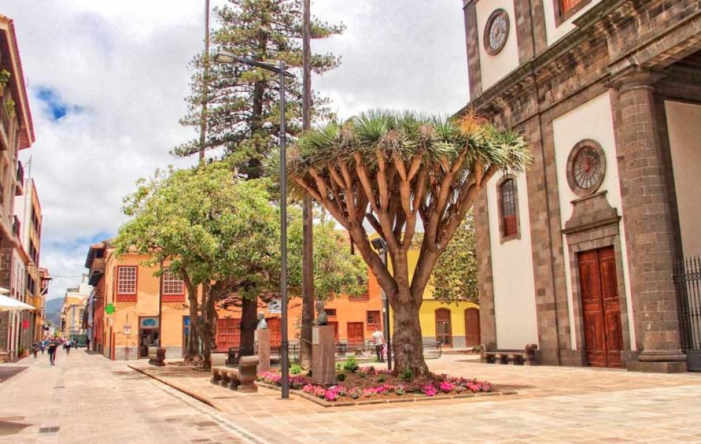 Que faire à Tenerife ?