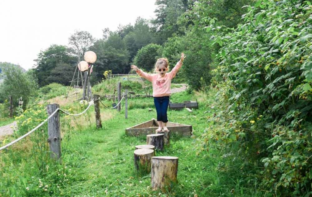 que faire dans les vosges
