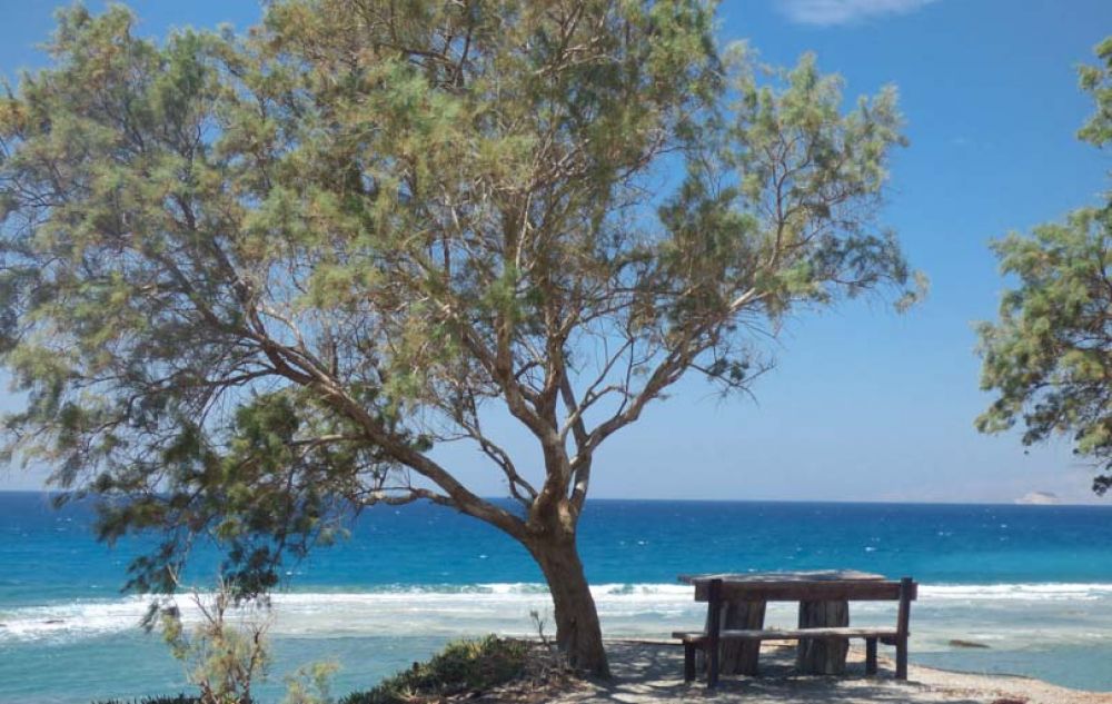 Que faire &agrave; Rhodes ? 