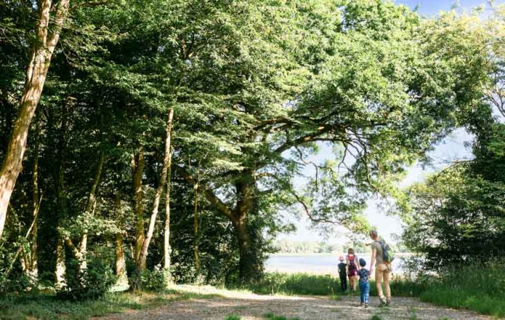 visiter Vitr&eacute;