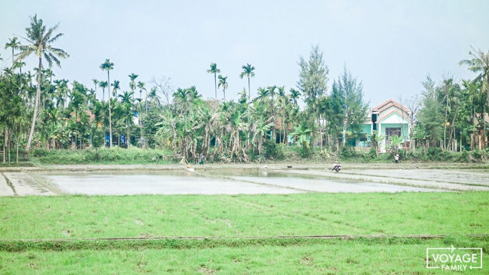riziere vietnam en famille