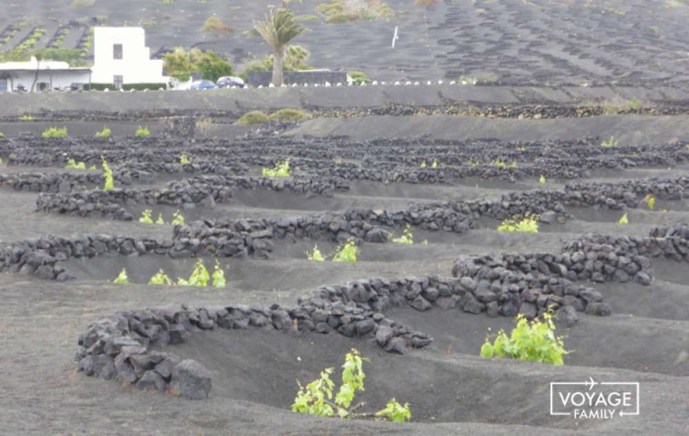 lanzarote en famille