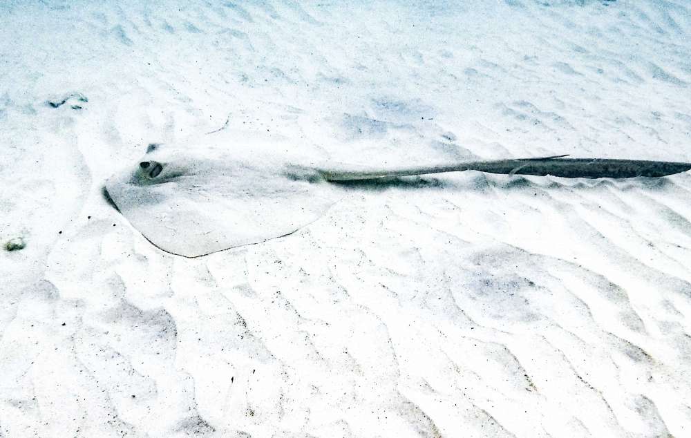 plage des &icirc;les perhentians en Malaisie en famille