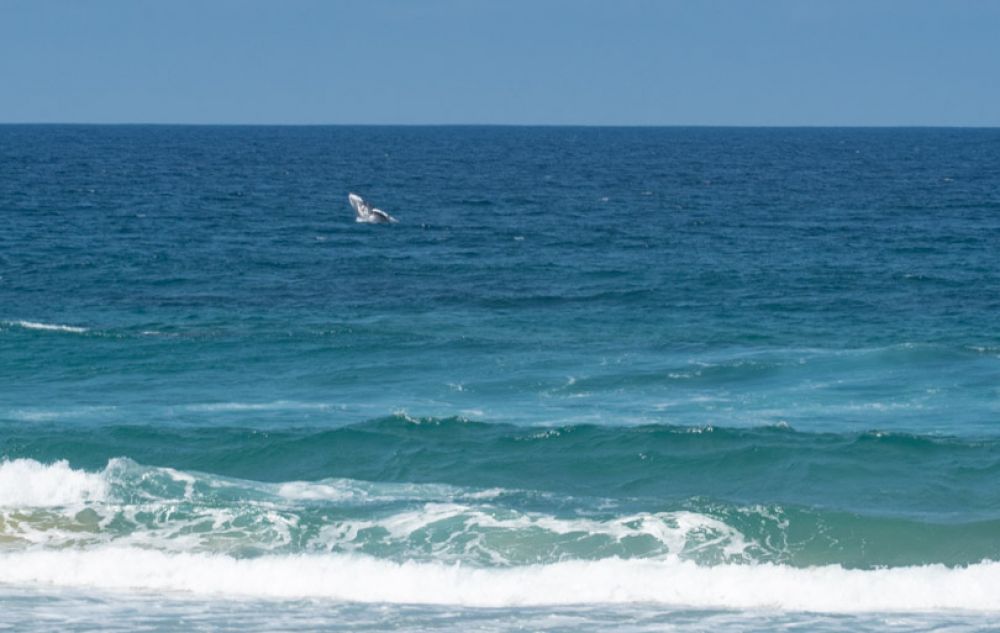 voyage mozambique