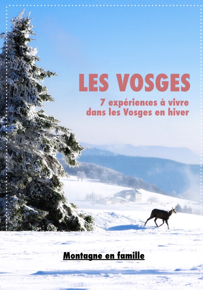que faire dans les vosges en hiver