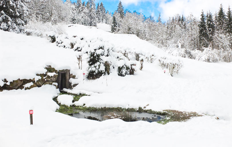 que faire dans les vosges